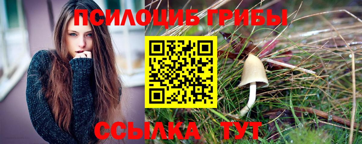 Шали  цены   Вход с VPN  Псилоцибиновые грибы ЛСД 